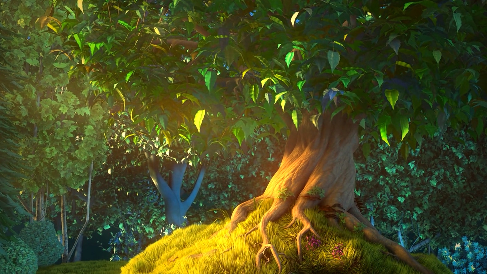 After: the same frame graded in EditRush, warmer and more saturated, with darker corners from a vignette.